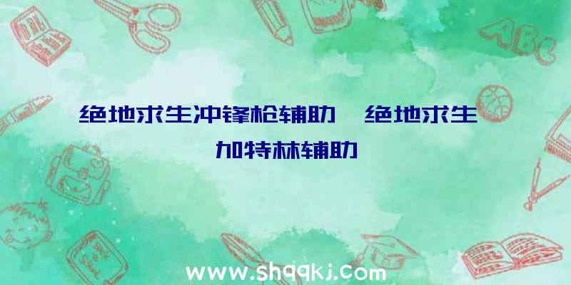 绝地求生冲锋枪辅助、绝地求生